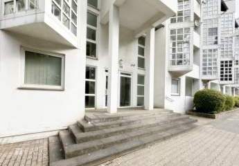 439335-Vorschaubild2