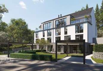 450059-Vorschaubild3