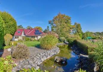 450041-Vorschaubild2