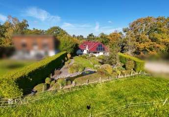 450041-Vorschaubild3