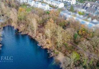 462393-Vorschaubild3