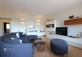 462727-Vorschaubild3