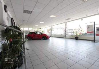 453414-Vorschaubild3