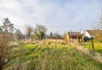 465517-Vorschaubild3