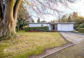 471797-Vorschaubild2