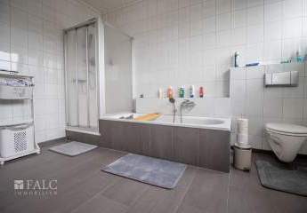 462315-Vorschaubild4