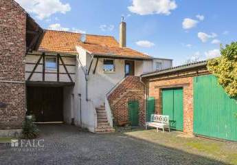 443719-Vorschaubild4