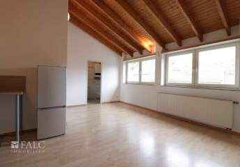 478373-Vorschaubild3