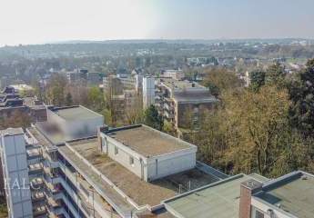 479895-Vorschaubild3