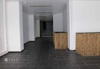 481572-Vorschaubild2