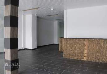 481573-Vorschaubild4