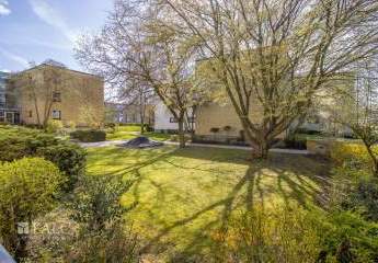 481803-Vorschaubild3