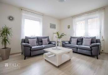 482102-Vorschaubild4