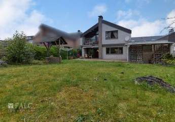 482153-Vorschaubild2