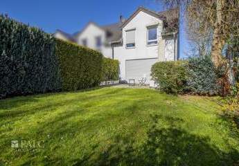 482155-Vorschaubild2