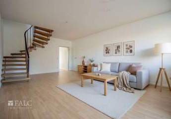 479535-Vorschaubild3