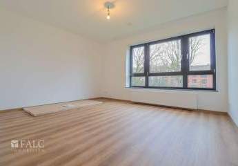 485314-Vorschaubild4