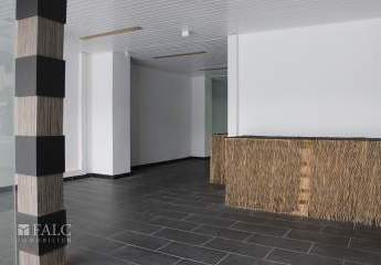 481573-Vorschaubild4