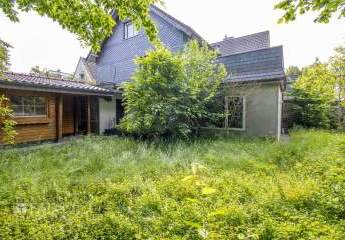 491054-Vorschaubild3