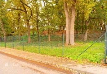 456925-Vorschaubild3