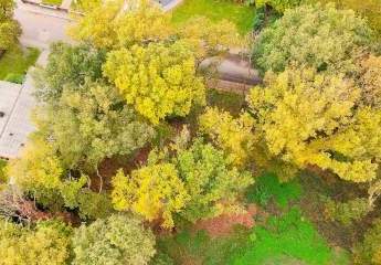 456926-Vorschaubild2