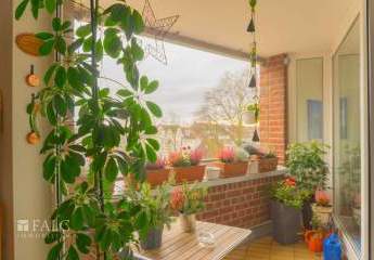 461841-Vorschaubild4