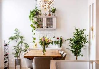 463952-Vorschaubild3