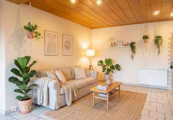 478800-Vorschaubild2