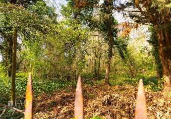 483330-Vorschaubild3