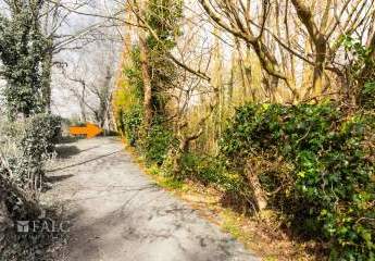 483330-Vorschaubild4