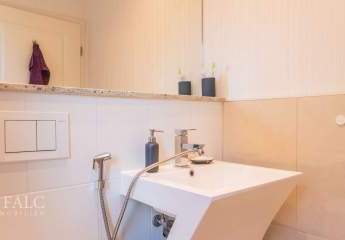 484304-Vorschaubild4