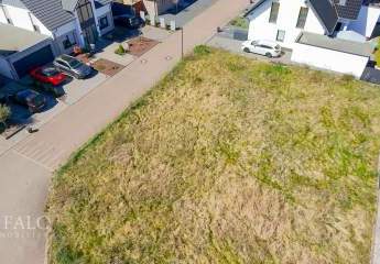 484666-Vorschaubild4