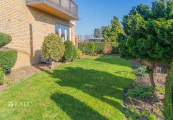 476873-Vorschaubild3