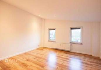 481456-Vorschaubild3