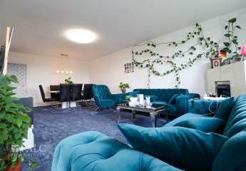 412349-Vorschaubild2