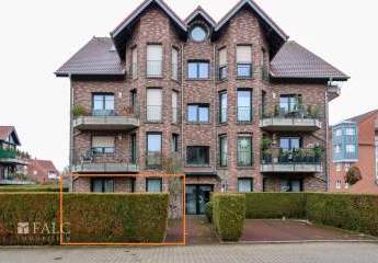 467119-Vorschaubild2