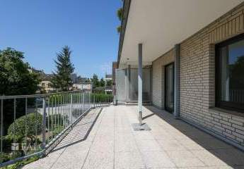 467539-Vorschaubild4