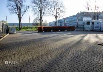 481881-Vorschaubild3