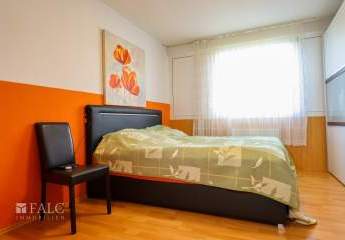 485859-Vorschaubild2