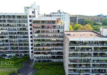 496172-Vorschaubild2