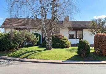 481928-Vorschaubild2