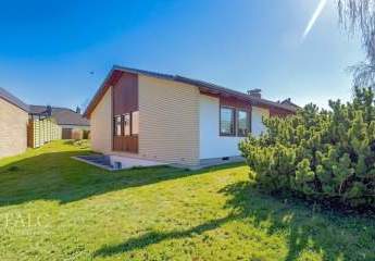 481928-Vorschaubild3