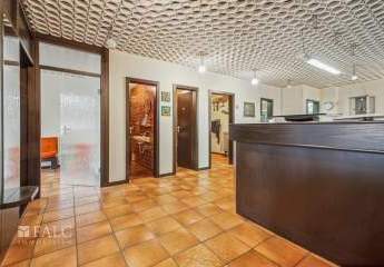 454394-Vorschaubild3