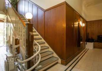 427533-Vorschaubild3