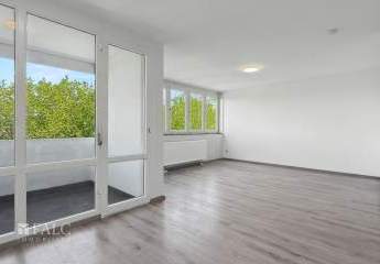 493197-Vorschaubild2