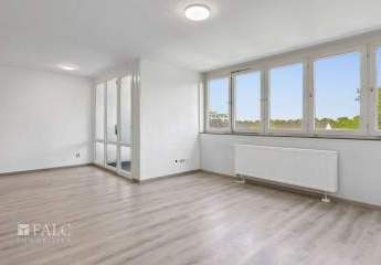 493197-Vorschaubild4