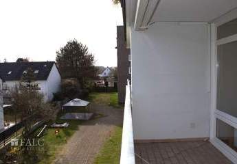 425125-Vorschaubild3