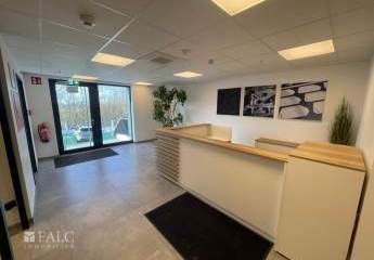 456513-Vorschaubild4