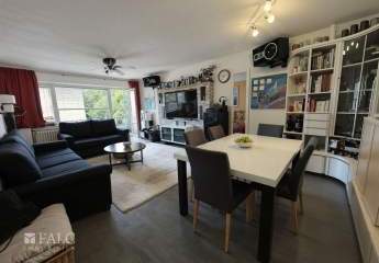 438556-Vorschaubild3