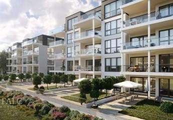 465252-Vorschaubild3